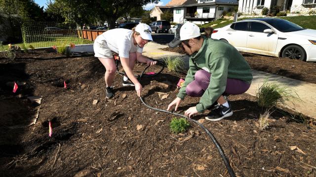 Two women planting drought tolerant plants in front yard. 