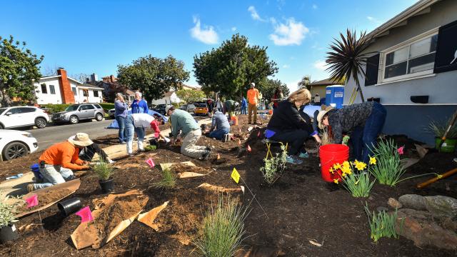 Participants at a landscape training class working in front yard, planting drought tolerant plants