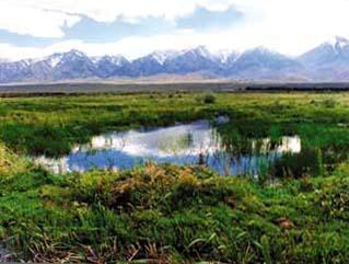 Grass valley with pond in the foreground, and Eastern Sierra Snow capped Mountains in the background