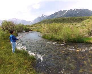 Photo of man fishing at a stream with mountains in the background