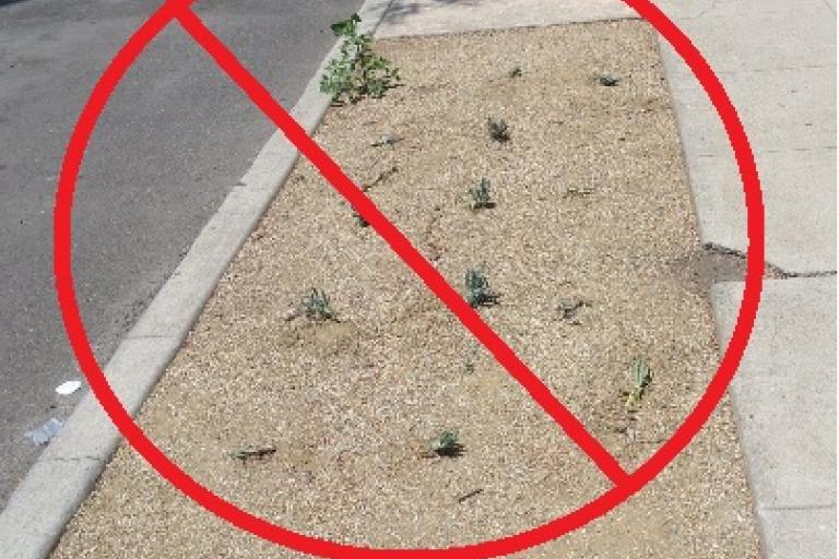 Unacceptable Parkway with decomposed granite