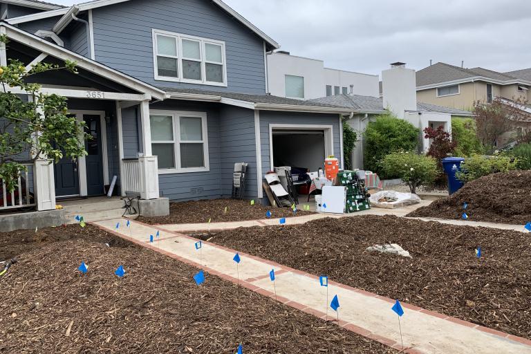 front yard with mulch