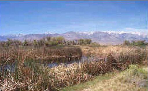 Stream with mountains in the background