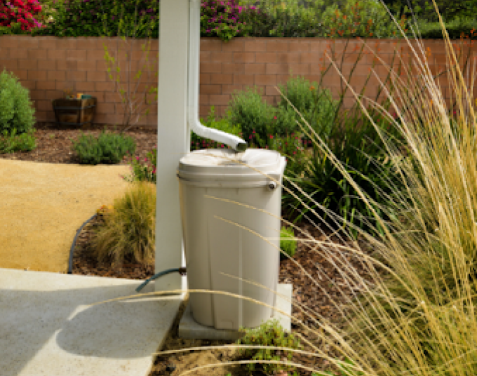 Rain barrel in a backyard.