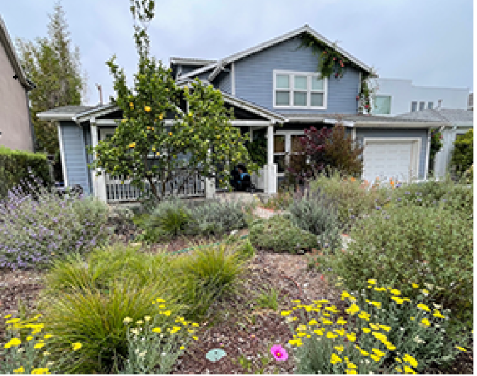 A house with a front yard featuring a drought friendly landscape with native plants.