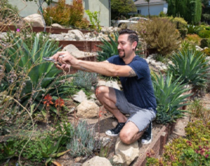 Man sitting in the midst of a garden trimming plants.