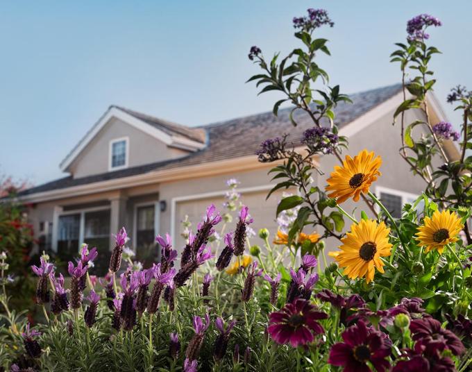 the front yard of a house with drought-tolerant plants