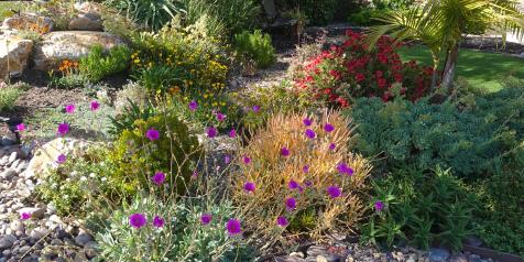 California Friendly Landscaping sa Los Angeles Hero Image