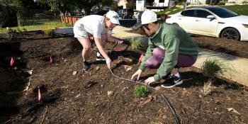 Two women planting drought tolerant plants in front yard. 
