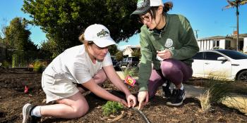 Two women installing drip irrigation line. 