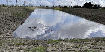 Water pools at the Tujunga Spreading Grounds after a January 2023 storm.